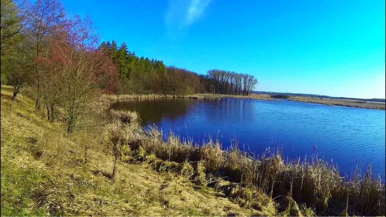 Весенняя ловля карася на реке удочкой с боковым кивком(16. 03. 2015)