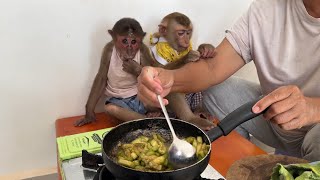 The little monkey is happy and playful with his mother while he is cooking