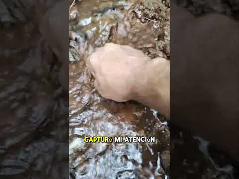 Encontró una AMATISTA en el RIO😱🪨🟣