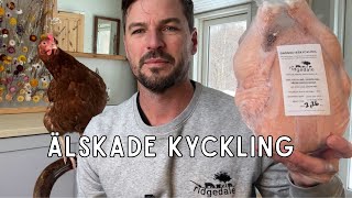 Alskade Kyckling Exploring complexities of poultry production in Sweden and what we stand for