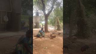 Aunty Hunting 😂🤣😁 #viral #hunting