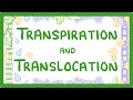 Translocation and Transpiration in Plants