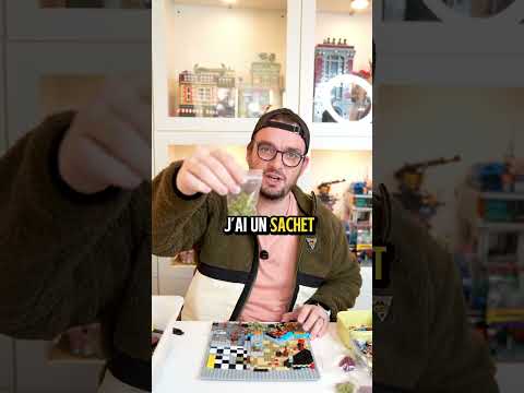 Seul un véritable expert lego pour deviner que set je suis en train de construire