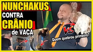 Nunchakus contra OSSO! Crânio de vaca! Quem quebrou primeiro?