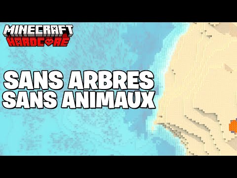 J'ai Survécu 100 JOURS Sur Une Île Déserte Hardcore sur Minecraft !