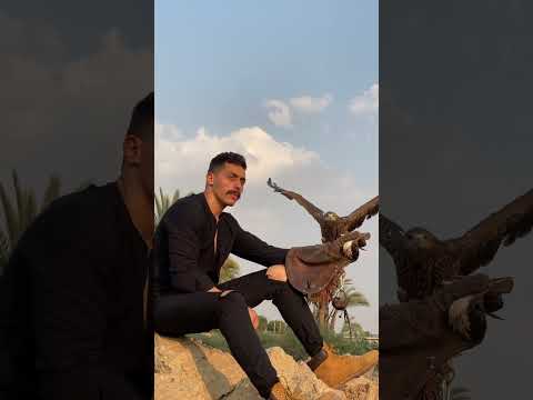 #شمس_نبوي_مصر 🤍🇪🇬🦅 تابعوني فيس بوك Mustafa Nabawy متوثق هناك ✅