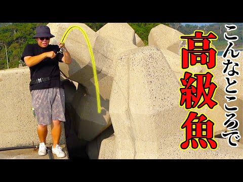 【2人旅 #4】穴釣り史上最大級の高級魚が！？