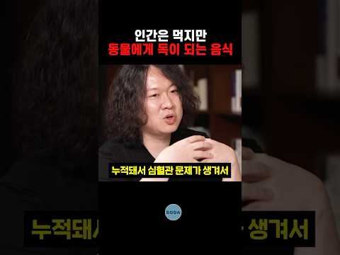 인간은 먹지만 동물에게 독이 되는 음식