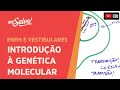 DNA and Protein Synthesis Concepts