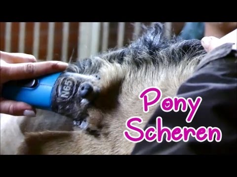 Lia & Alfi - Das Pony wird geschoren - mit Schermuster