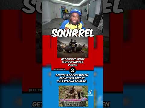 Kai Cenat plays Would You Rather Kai Edition