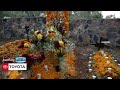 Marigold: Cultural and Historical Significance