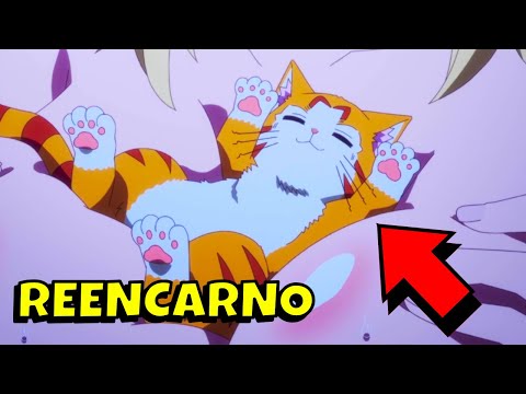 Reencarno en un GATO y Termino Siendo la MASCOTA de una ELFA | Anime Resumen (1-5)