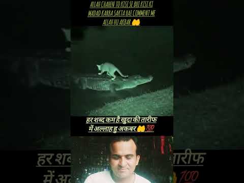 Allah ki tareef ke liyen har sabd kam padega allah Hu Akbar 🤲#trandingreaction #aphalibhai