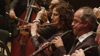 Beethoven / Symphony no. 1, op. 21 | The Israel Camerata Jerusalem | Philippe Herreweghe conductor