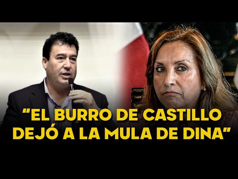 ¡POLÉMICA CRÍTICA!| Congresista Edwin Martínez: "Se fue el burro de Castillo y dejó la mula de Dina"