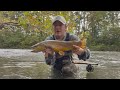 Brown Trout Fishing Techniques and Facts