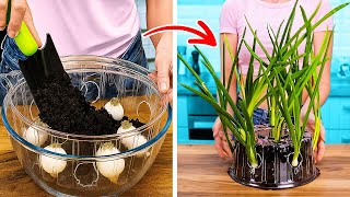 🌱 GENIUS GARDENING HACKS TO GROW FRUITS & VEGGIES AT HOME! 🍓🥕