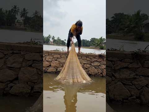 വാരിക്കോരി മീനെ പിടിക്കണമെങ്കിൽ ഓടി പൊയ്ക്കോ 🤩 |alappuzha fishing #new #fishing #youtube #alappuzha