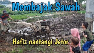 Hafiz dan hafizah melihat kakek membajak sawah