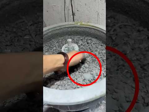 He Crushed Stones… But What He Found Was Worth ₹5 Lakhs! #facts #ytshorts #trending