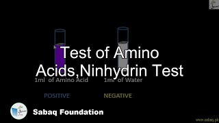 Test of  Amino Acids,Ninhydrin Test