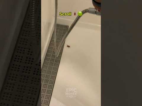 Choose a hotel for your family vacation ๐ฉโโค๏ธโ๐จ (pt. 4) #shorts #luxury #hotel #motivation