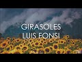 Simbolismo y Reacciones de Girasoles