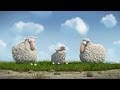 Understanding the Video Tutorial