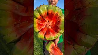World’s Most Unique Fruits (Screw Pine)!!
