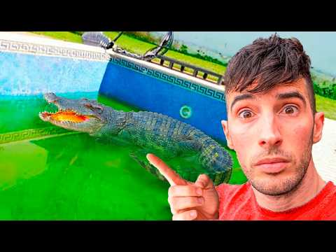 VACIO MI PISCINA Y ME ENCONTRE UN COCODRILO REAL !! *LO CAPTURO*
