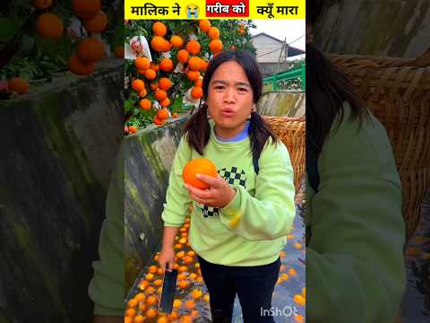 मालिक ने गरीब को क्यूँ मारा ?~mini wood toy- woodworking art skill/ hands craft idea #shorts #fact