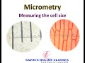 Microscope Calibration and Cell Measurement