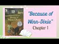 Exploring Chapter 1 of Because of Winn-Dixie