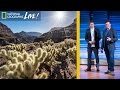 Understanding the Grand Canyon's Lessons