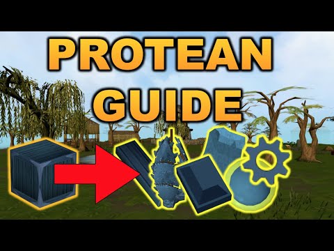 Runescape Hunter Training Protean Traps 06 2021