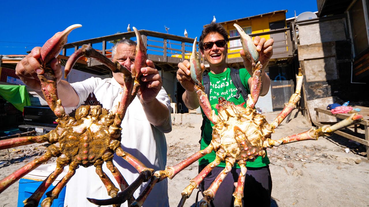Giant Spider Crab! MEXICAN SEAFOOD - Popotla Fishing Village, Mexico!