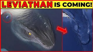 Leviathan: The Most Terrifying Sea Monster!