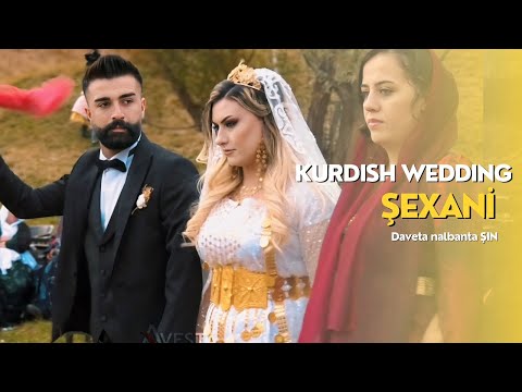 Kurdısh dance | Şexani | Sin ailesi #youtube #wedding #kurdish #dance