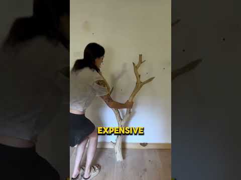 She Turns a Random Stick Into the Most Creative Shelf You’ve Ever Seen
