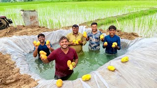 Swimming Pool 🏊 Main Mango 🥭  Party  😍￼