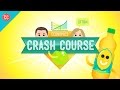 Understanding Economics and Its Applications