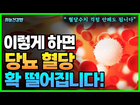 부작용 없이 건강한 당뇨 식단관리법! 식후 혈당 낮추는 방법 ! 당질제한식