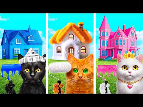 One Colored Cat House Challenge! Best Craft Ideas for Your Pets