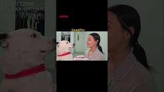 Evelyn Ortiz and her dog Firu #streamer #twitchstreamer #stream #wendyortiz #live #twitch #twitchtv