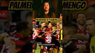 Palmeiras X Flamengo Dublado! #dublagem #flamengo #palmeiras #brasileirão #futebol #mengo