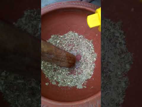 Sardai & Thandai Recipe MOrning Retuine By Hamania #minivlog #food #pakistan