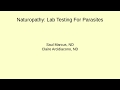Understanding Parasite Lab Tests and Symptoms
