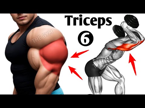 6 big triceps exercises ( fastest grow your triceps )