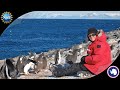 Life and Research in Antarctica